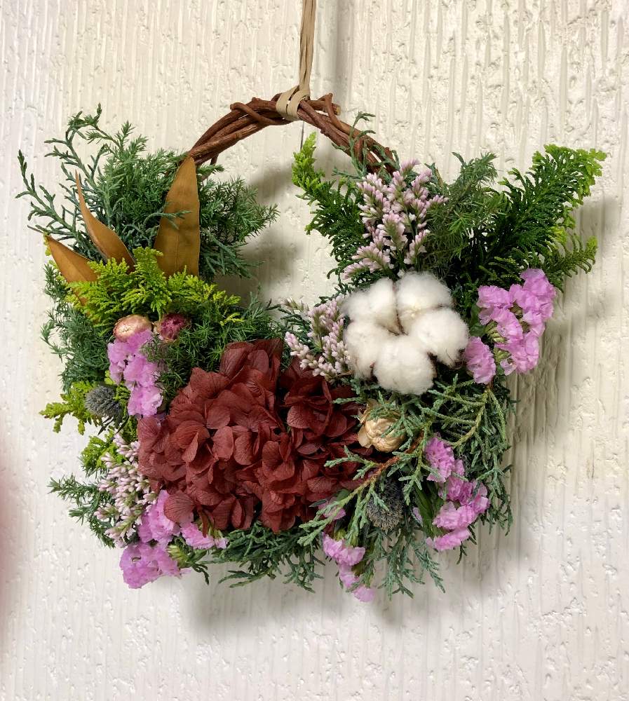 けんみさんの投稿画像 月6月10日 Greensnap グリーンスナップ