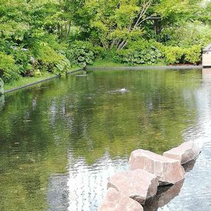 爽やか,花のある暮らし,屋上庭園,いつもありがとう,癒やされるの画像