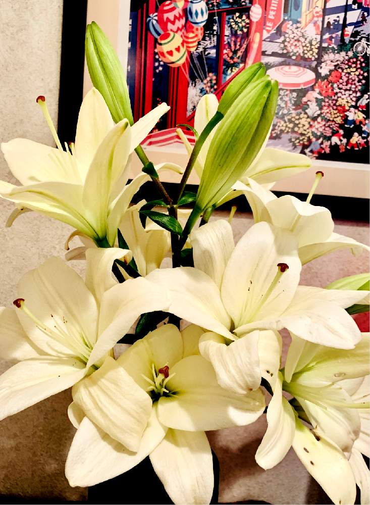 ユリの投稿画像 By Nhhn Kittyさん 切り花ですと白い花 が好き とリフレッシュして 元気になる 花飾りフォトコンテスト 2020月6月13日 Greensnap グリーンスナップ