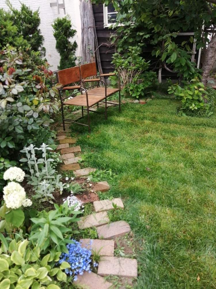 初心者の投稿画像 By ぶちゃむさん 花壇と素敵な庭にしたい とお庭改造とベンチとにわとおうち園芸と小屋と花のある暮らしと北海道 月6月13日 Greensnap グリーンスナップ