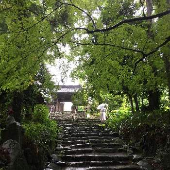 いい、景色の画像 by musubiさん | お出かけ先と人生楽しく。といい感じ♡と寺、山、空、雨。といい、景色と絶対、綺麗。とスマホで撮影