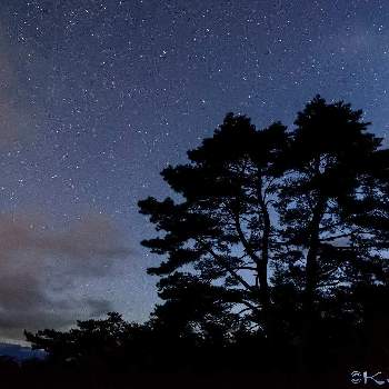 奥大井の星空の投稿画像一覧 Greensnap グリーンスナップ