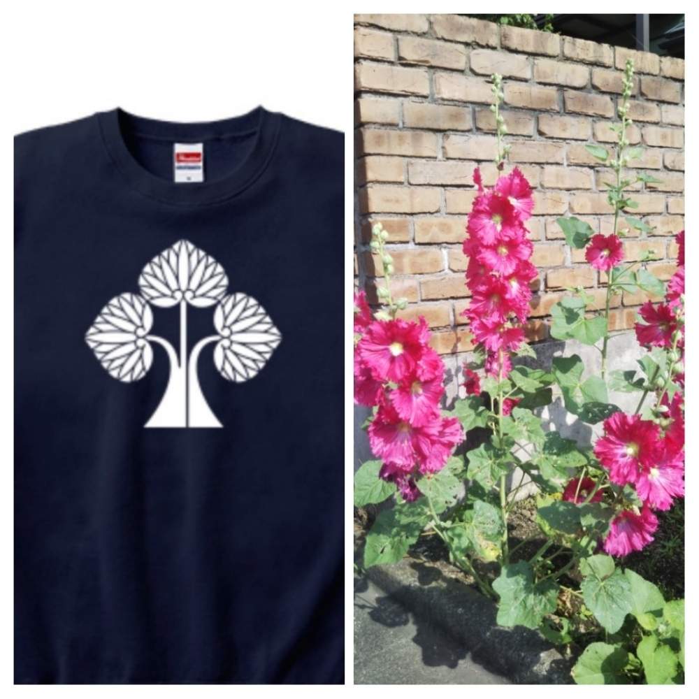 タチアオイの投稿画像 By ドッポさん さん 家紋シリーズ 月6月15日 Greensnap グリーンスナップ