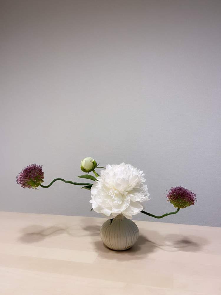 アリウムの投稿画像 By もちとらさん シャクヤクとインテリアと一輪挿しとおうち時間とリフレッシュして 元気になる 花 飾りフォトコンテストとフラワーアレンジメントと花のある暮らしと切り花と一輪挿しとおうち時間とリフレッシュして 元気になる 花飾りフォト