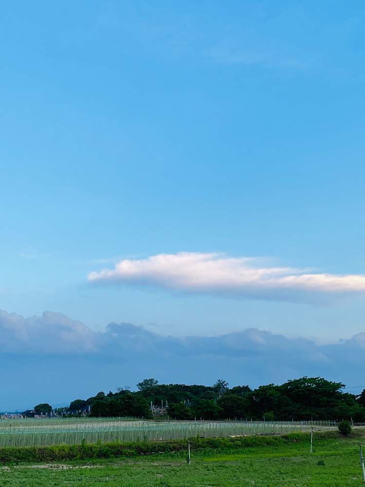 雄大の投稿画像 By Nao70 さん 龍みたいな雲と青い空と白い雲とフリューブルーと龍の形の雲 月6月15日 Greensnap グリーンスナップ