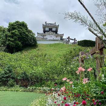 掛川城の投稿画像一覧 Greensnap グリーンスナップ