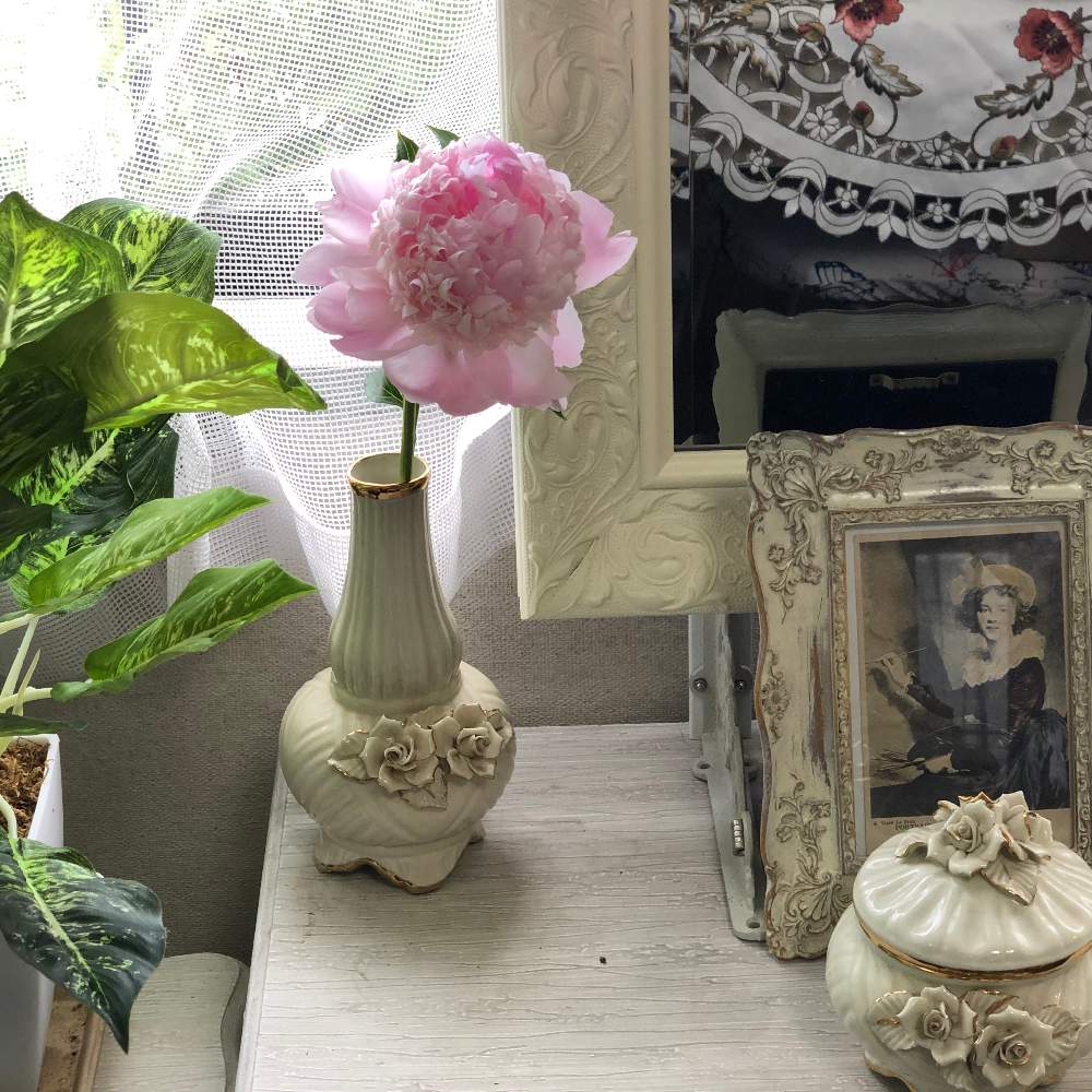 シャクヤク 芍薬 の投稿画像 By Grace Placeさん 花言葉と花のある暮らしと誕生花とgs映え 月6月16日 Greensnap グリーンスナップ