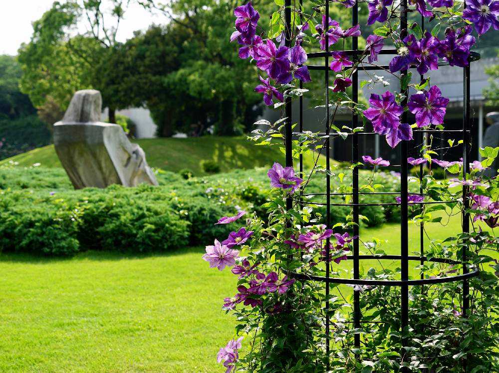 クレマチスの丘に行って来ました 6 9 Greensnap グリーンスナップ