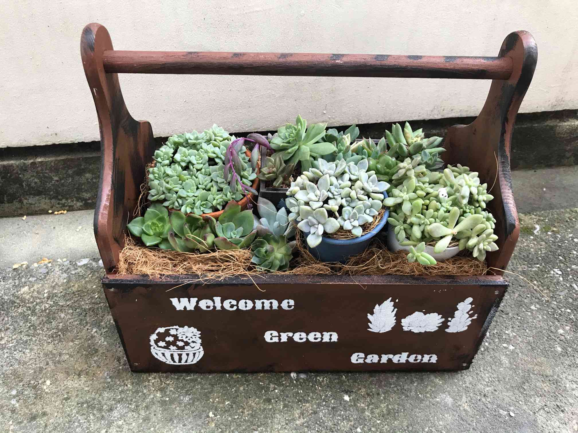 100均カッティングボード多肉寄せ植えバスケットDIY｜🍀GreenSnap