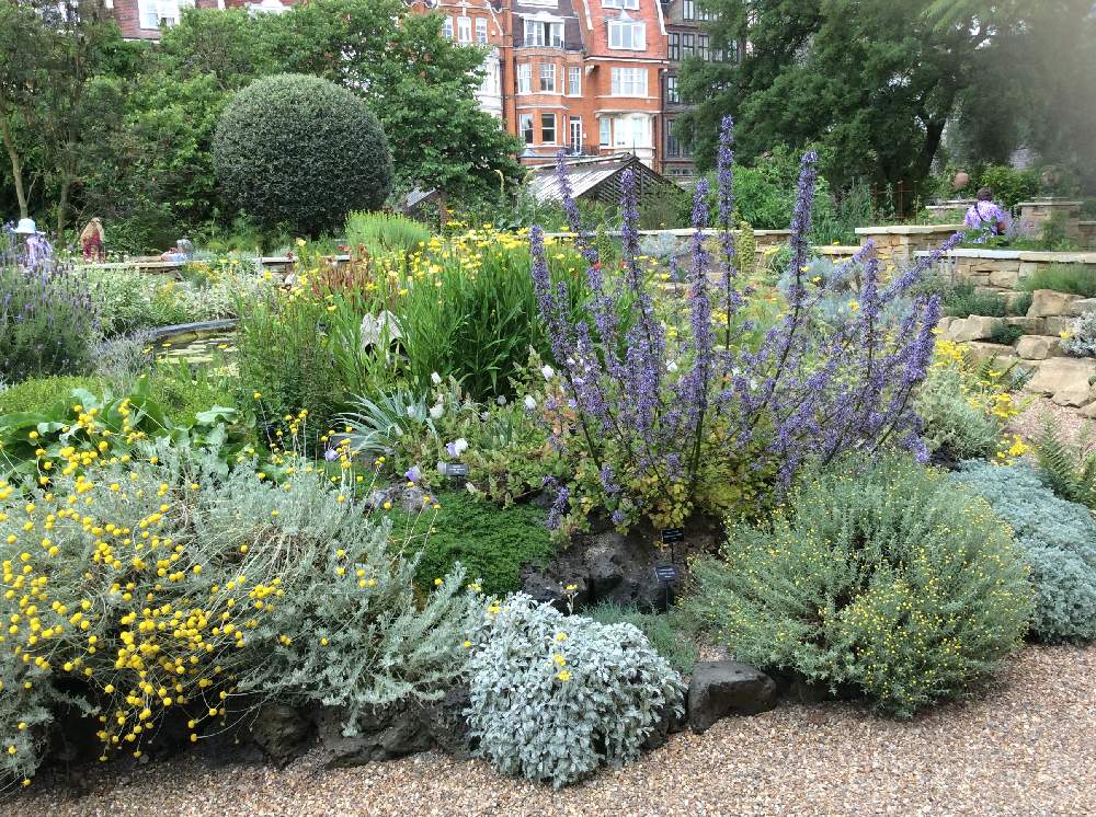 イングリッシュガーデンの投稿画像 By Dcさん イングリッシュガーデンに憧れてと英国の街角とイギリスの庭とイギリスと英国式庭園とイギリスのお花とロンドンと英国とロンドン生活 月6月17日 Greensnap グリーンスナップ