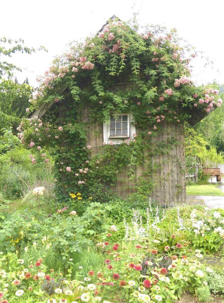 薔薇の投稿画像 By はてはぁなさん 素敵な風景とミニハウス 月6月18日 Greensnap グリーンスナップ