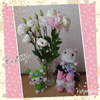 ふっかちゃんの投稿画像一覧 Greensnap グリーンスナップ