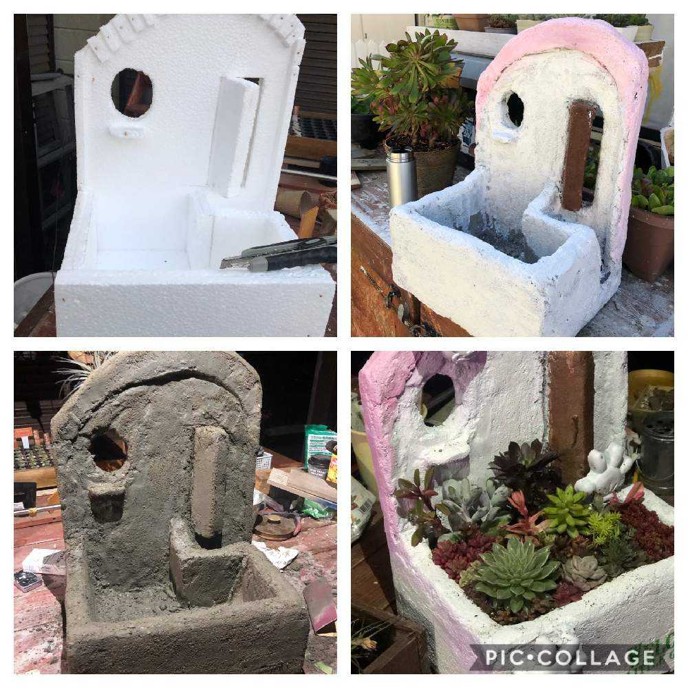 Diyセメント鉢いろいろ Greensnap グリーンスナップ