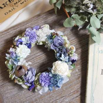 紫陽花リースの投稿画像一覧 Greensnap グリーンスナップ