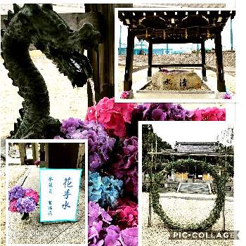 金井神社の画像 by 世津ちゃんさん | いなべ市と金井神社とおうち園芸と北金井と茅の輪くぐり