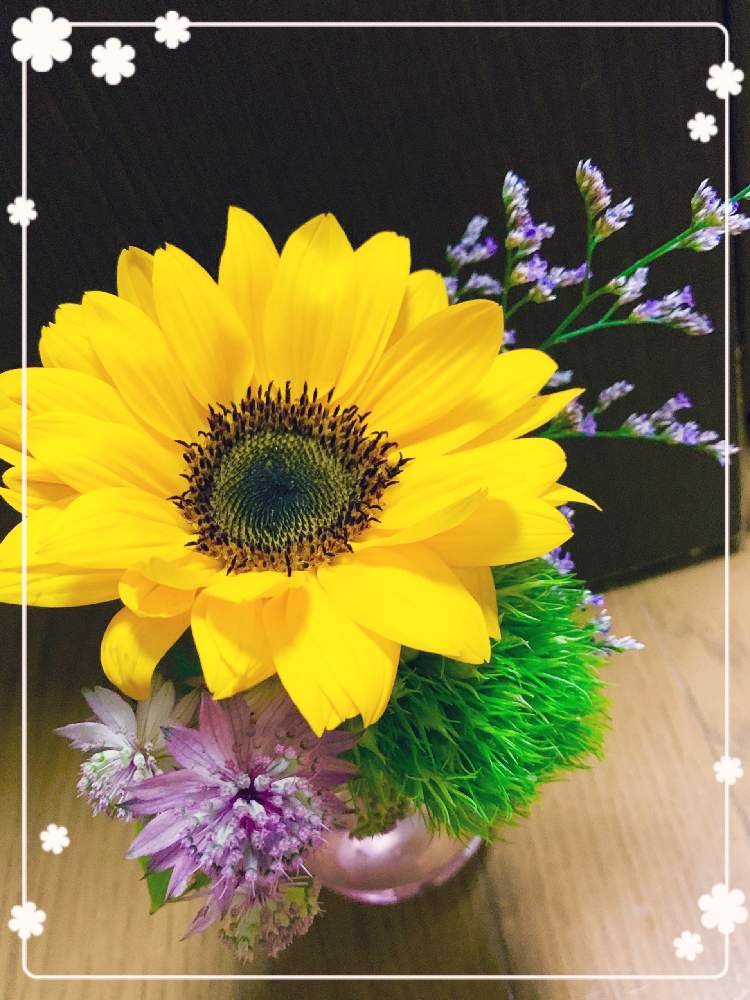 アストランティアの花の投稿画像 By Toshieさん 素敵な花とすてき とお花の定期便とgsミニモニ とテマリソウ とブルーファンタと父の日 月6月22日 Greensnap グリーンスナップ