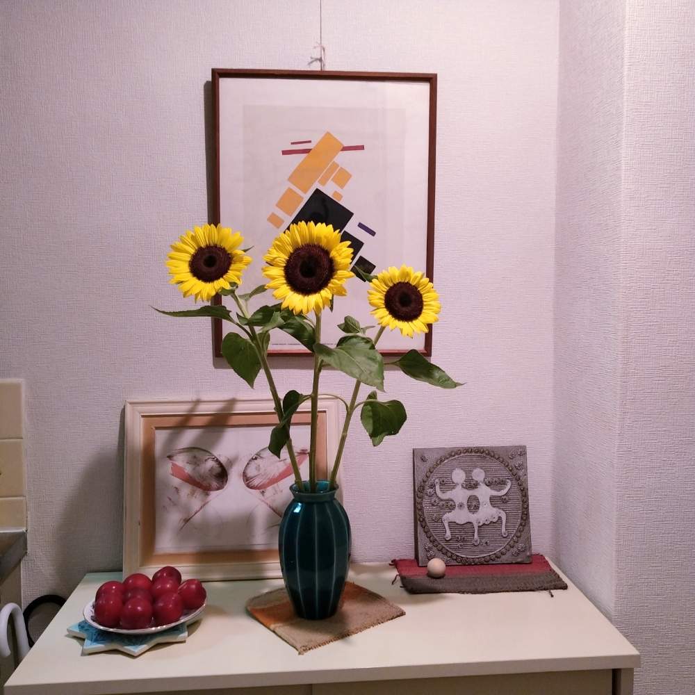 ひまわりの投稿画像 By Bumbabaさん 玄関とみどりのある暮らしと一輪挿しと花瓶とおうち園芸と商店街と花束とみどりのある暮らしと一輪挿しと花瓶とおうち園芸と商店街と花束 月6月22日 Greensnap グリーンスナップ Greensnap グリーンスナップ