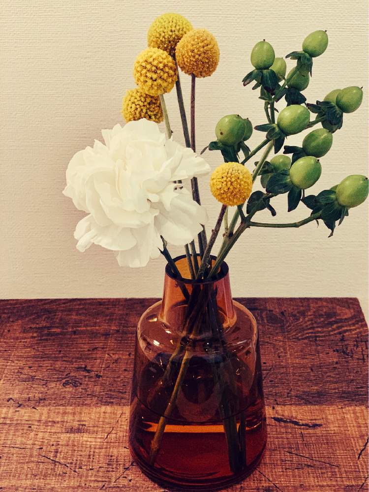 カーネーションの投稿画像 By Izuminさん ヒペリカムとグラスペディアと花瓶と癒しの空間と花のある暮らしと切り花と可愛い 月6月23日 Greensnap グリーンスナップ