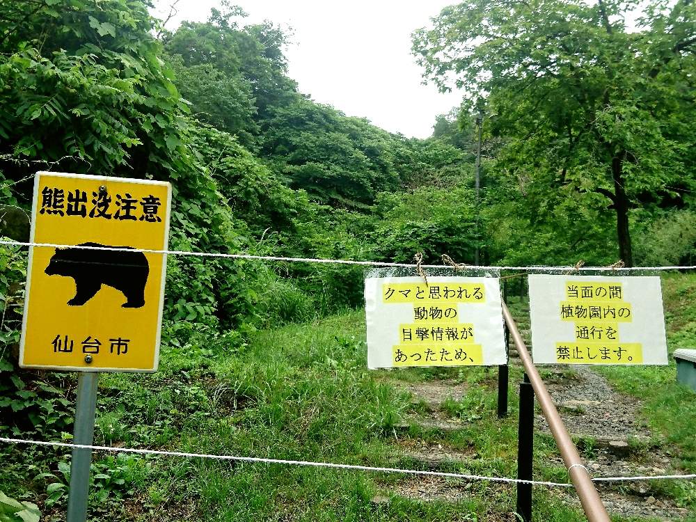 散歩の投稿画像 By ロンさん 仙台 月6月27日 Greensnap グリーンスナップ