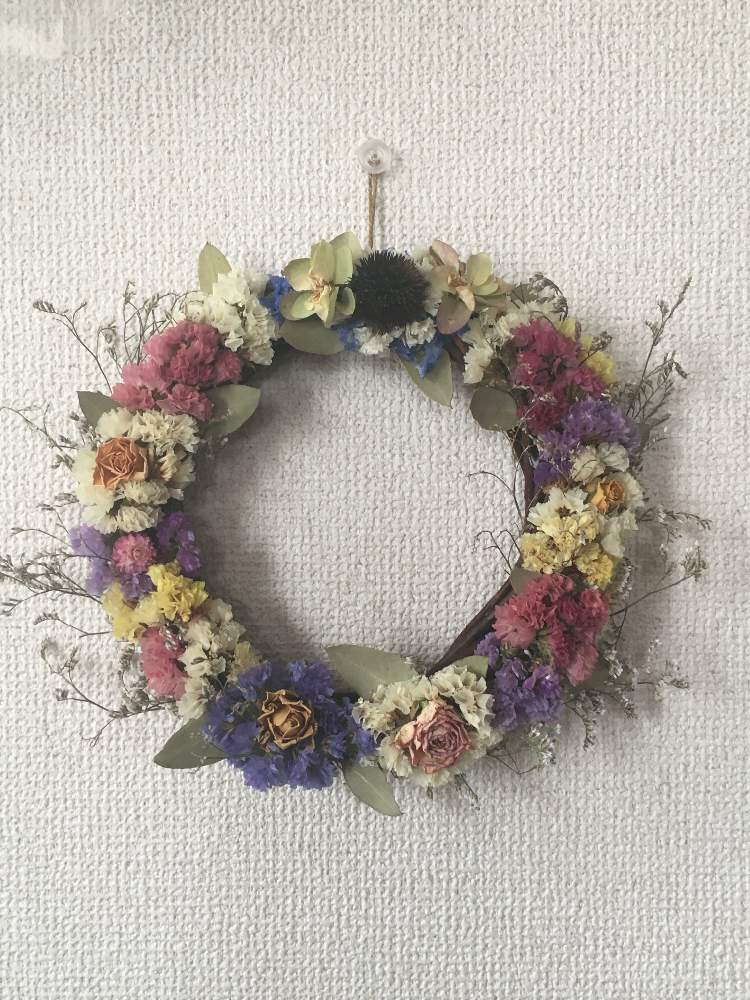 スターチスの投稿画像 By Kazumiさん 紫陽花とユーカリと薔薇と手作りとドライフラワーとおうちde菜園と紫陽花 とおうち園芸とダイソーdiyとハンドメイドと花のある暮らしとハンドメイド雑貨とりーす 月6月27日 Greensnap グリーンスナップ