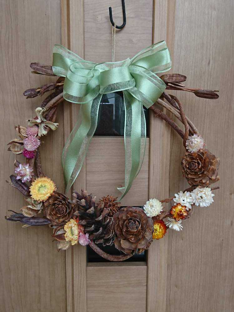 千日紅の投稿画像 By ローリエ さん 帝王貝細工 ムギワラギク とシダーローズ ヒマラヤ杉 とドライフラワーと畑の花と種からとハンドクラフトとおうち園芸とハーブとリースと収穫と花のある暮らしと一年草 月6月28日 Greensnap グリーンスナップ