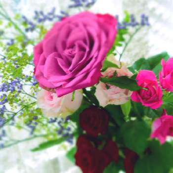 『バラとクレマチス』フォトコンの画像 by きくさん | 窓辺とばらと花のある暮らしとばら バラ 薔薇と『バラとクレマチス』フォトコン