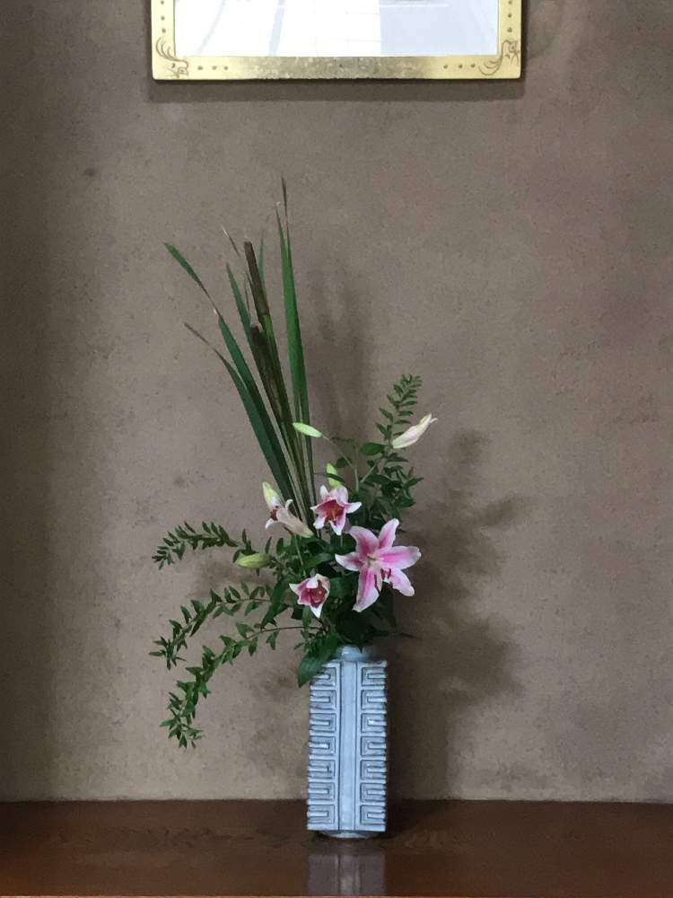 ユキヤナギの投稿画像 By わかばさん ユリとヒメガマと床の間と壺花器とgs映えと投入と夏の花と和室の花といけばなと花のある暮らし 月7月1日 Greensnap グリーンスナップ