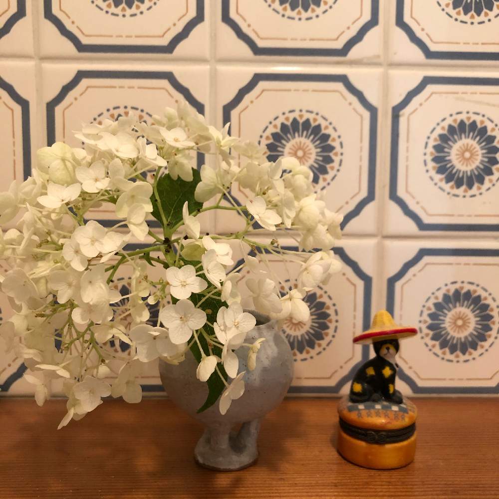 アナベルの投稿画像 By Fcrocusさん 切り花と白い花と花のある暮らしとpwフォトコン 月7月3日 Greensnap グリーンスナップ