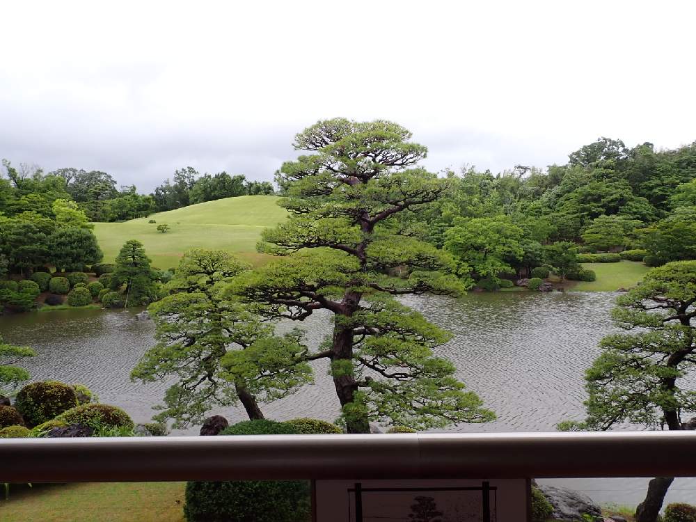 万博記念公園の日本庭園に行って来ました Greensnap グリーンスナップ