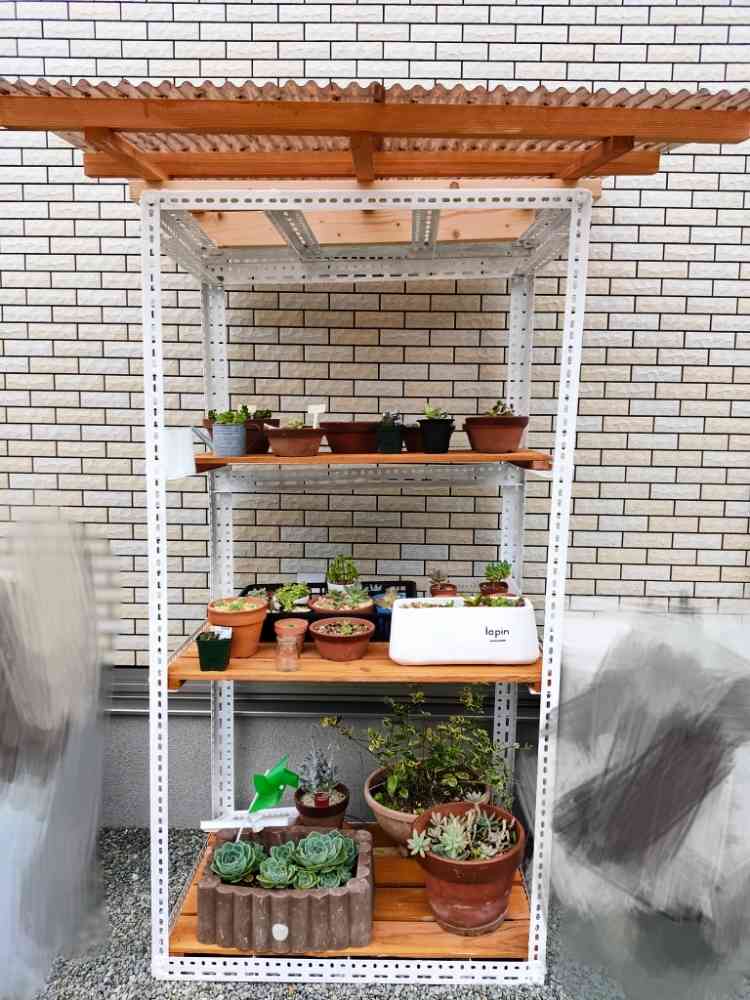 初めての多肉棚 DIY｜🍀GreenSnap（グリーンスナップ）