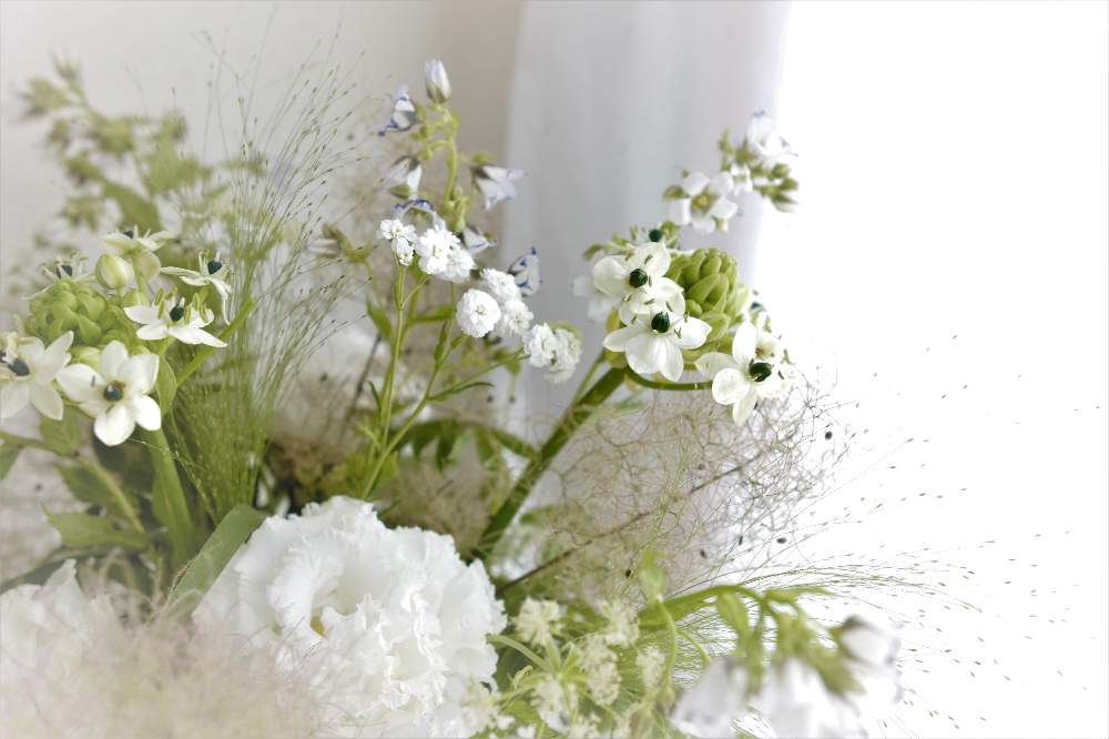 オーニソガラムの投稿画像 By Hila Ya Hilaryさん スモークグラスとカンパニュラ ラクチフローラとアキレア ノブレッサ とシャンペトルとハナノヒとサクハナと日比谷花壇と切り花とインテリアグリーン 月7月5日 Greensnap グリーンスナップ