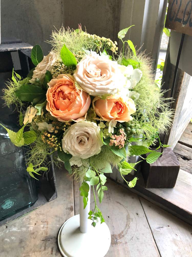 スモークツリーの投稿画像 By Naoariさん ブルーベリーと紫陽花と羽衣ジャスミンとばらとブライダル ブーケとピンクの花と黄色い花とスモーク ツリーとブーケと花のある暮らしと白い花 月7月5日 Greensnap グリーンスナップ