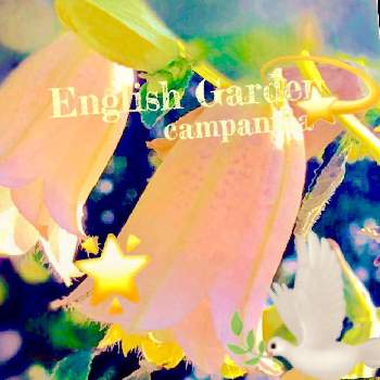 EG昆虫の画像 by イングリッシュガーデンさん | お出かけ先とホタルブクロと紫陽花 ダンスパーティーとEGありがとうございますとかわいい♡とGS映えと今日のお花と綺麗なお花とEG昆虫とEGコラージュと花のある暮らしとGSアダルトチームと色合いがキレイとチーム愛知