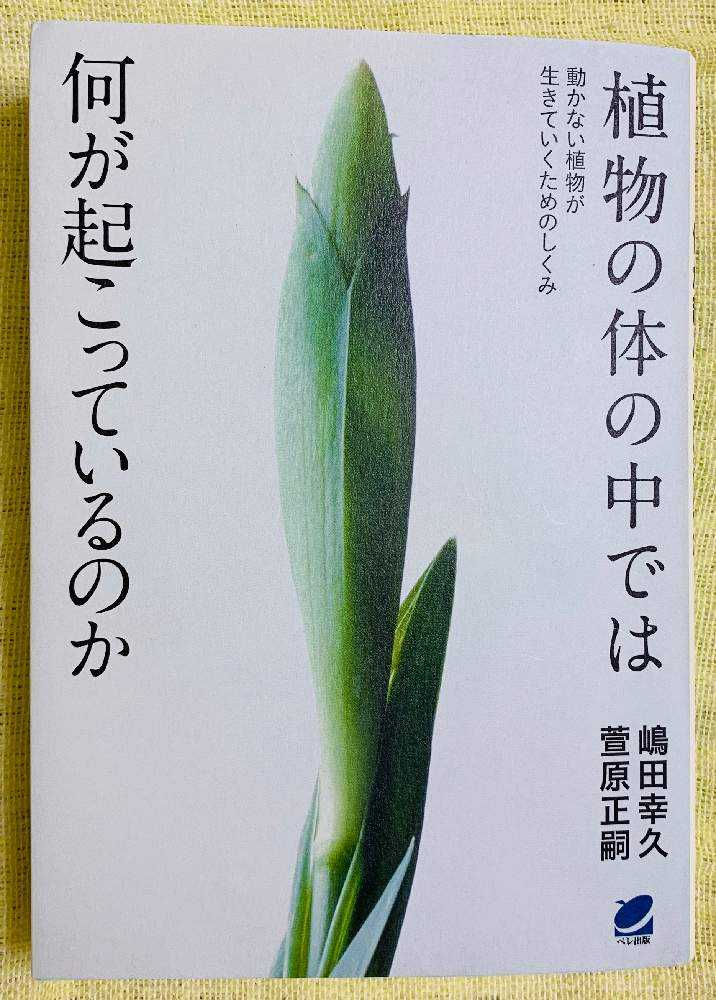 評論シリーズ特別編 植物の体の中では何が起こっているのか Greensnap グリーンスナップ