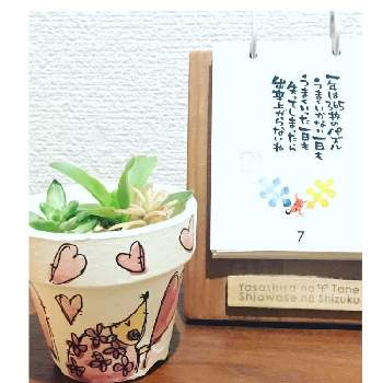 自宅待機中の画像 by 未知さん | 玄関とリメ鉢と自宅待機中とizumiさん花ネズミ鉢と優しさの種　幸せの雫