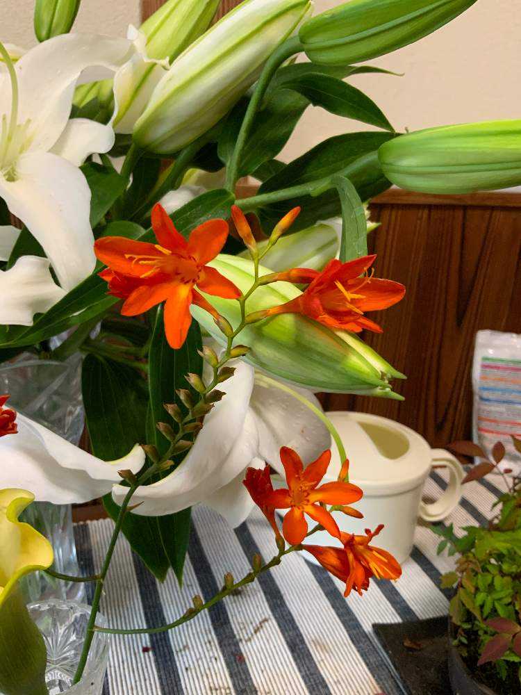 玄関の花瓶 Greensnap グリーンスナップ