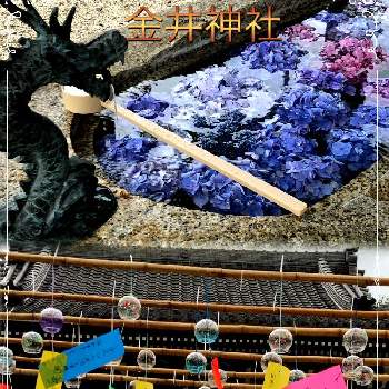 金井神社の画像 by 世津ちゃんさん | 短冊といなべ市と金井神社と短冊に願いを