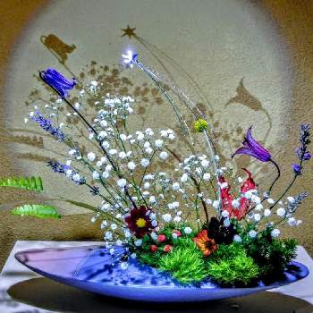 季節の移ろい✨の画像 by 東風さん | 部屋といけばなと花のある暮らしと季節の移ろい✨