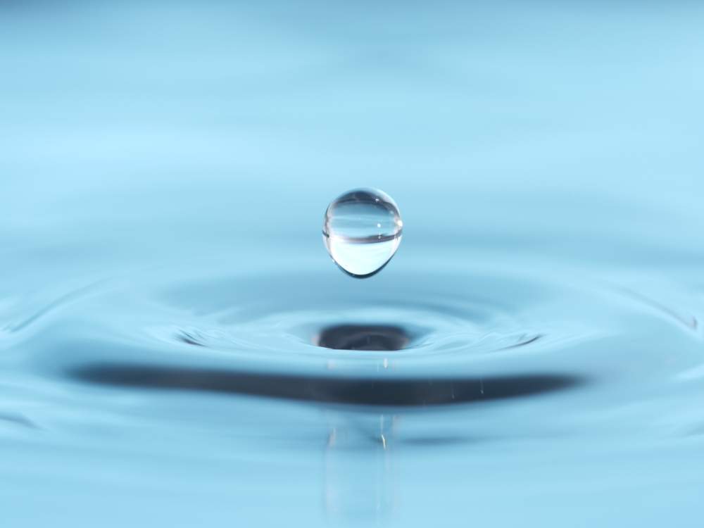 部屋の投稿画像 By ゆず花さん 水滴と雫撮影と水滴と雫撮影 月7月8日 Greensnap グリーンスナップ Greensnap グリーンスナップ