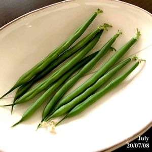 収穫,野菜 水耕栽培,百均グッズ,家庭菜園奮闘日記,おうち園芸の画像