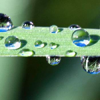 雨の情景の投稿画像一覧 Greensnap グリーンスナップ