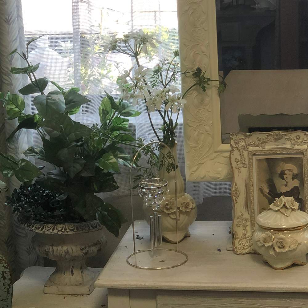 オルレア ホワイトレースフラワー の投稿画像 By Grace Placeさん 花言葉と花のある暮らしと誕生花とgs映え 月7月9日 Greensnap グリーンスナップ
