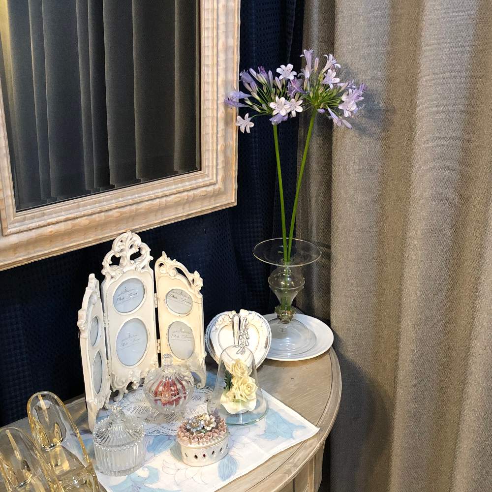 アガパンサス 紫君子蘭 の投稿画像 By Grace Placeさん 花言葉と花のある暮らしと誕生花とgs映え 月7月12日 Greensnap グリーンスナップ