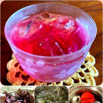 赤紫蘇　ジュースの画像 by ごまくろさん | キッチンと赤紫蘇　ジュース