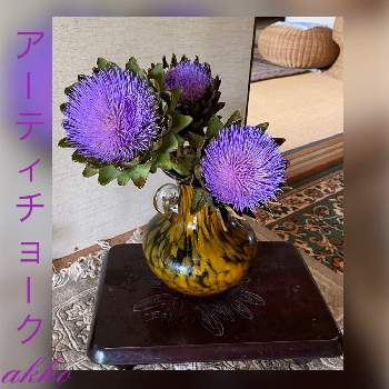 アーティチョークの生け花の投稿画像一覧 Greensnap グリーンスナップ