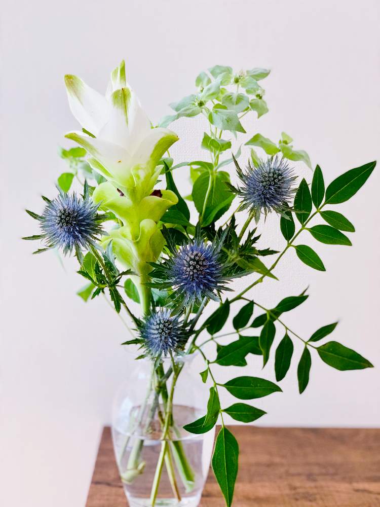クルクマの投稿画像 By Izuminさん マウンテンミントとエリンジウムと切り花と花瓶と花のある暮らしと花を飾る 月7月13日 Greensnap グリーンスナップ