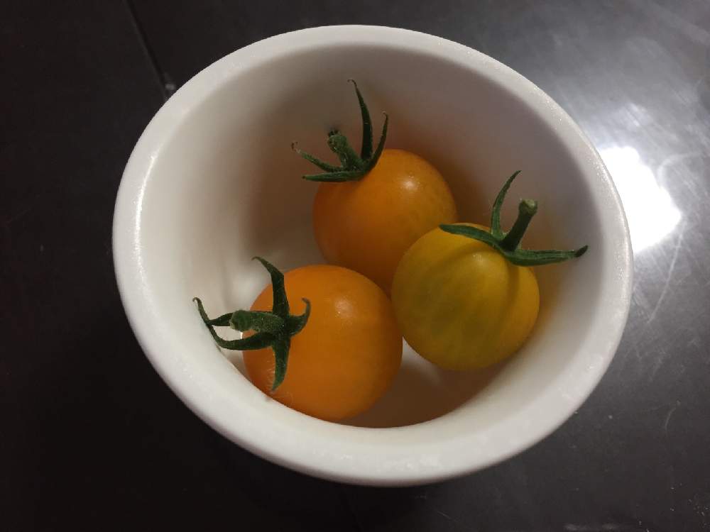 ミニトマトの投稿画像 By Latteさん プランター野菜と夏野菜とおうち園芸とおうちde菜園 月7月13日 Greensnap グリーンスナップ