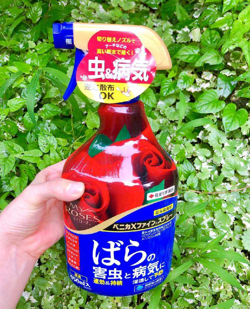 住友化学園芸 ベニカxファインスプレー 殺虫 病原菌 予防 薔薇 うどんこ病 治療 バラ 950ml 15本 殺菌 病気 ばらの害虫と病気に
