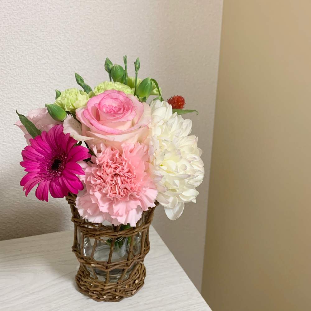 カーネーションの投稿画像 By Skoさん ガーベラとダリアとバラ 月7月13日 Greensnap グリーンスナップ