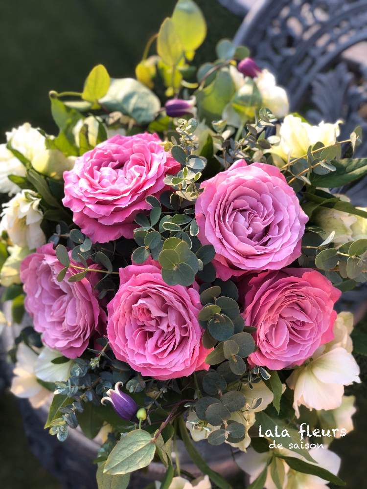 薔薇の投稿画像 By ララフルールさん ばら バラ 薔薇とピンクの薔薇と花言葉と大切な人へとビタミン Fと花のある暮らしと花束 月7月15日 Greensnap グリーンスナップ